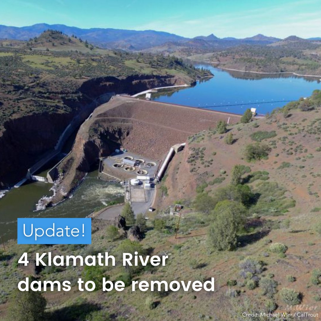 📣Good news! 4 #KlamathRiver dams are set to be demolished, once complete this will be the largest dam demolition project in history, opening up hundreds of miles of salmon habitat on the river that crosses from Oregon into California. A huge for #wildsalmon and #SRKW.