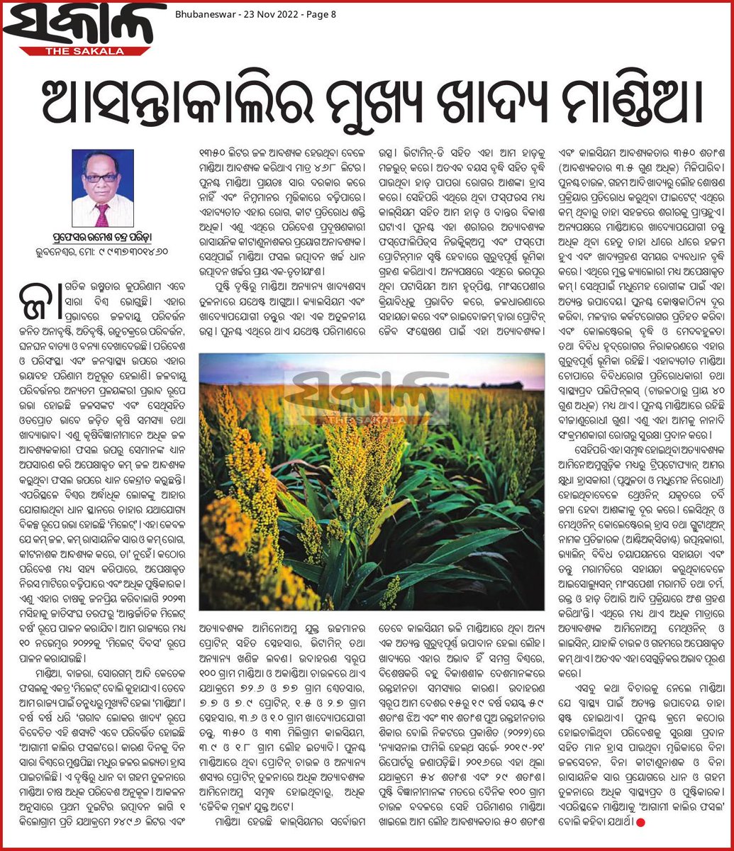 Bibhuti43475082's tweet photo. @arvindpadhee @krushibibhag @rajaaswain @MilletsOdisha
#millet #mili #mandia #ମାଣ୍ଡିଆ #odishaMillets https://t.co/iW17kbT4mC