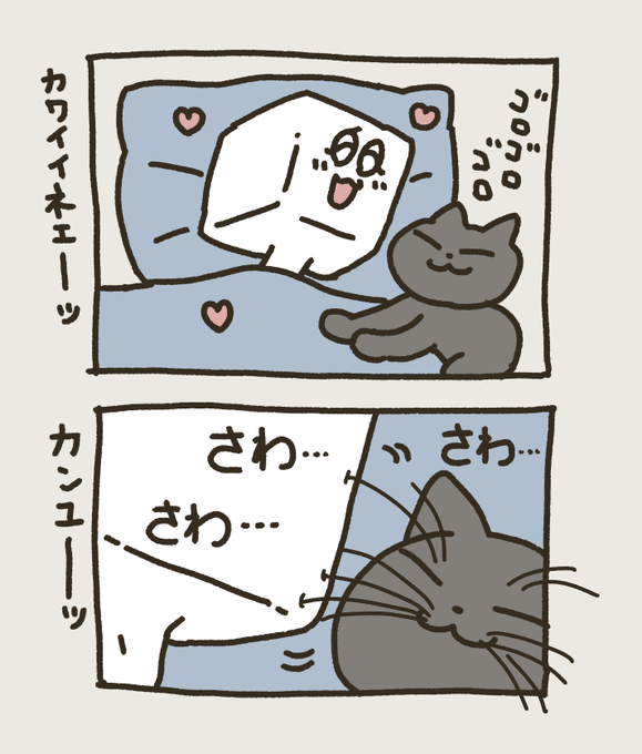 これ、ならんか??
#黒猫アルくん #猫飼い初心者奮闘記 