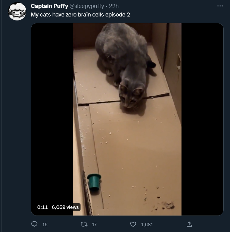 Captain Puffy Updates tweet media