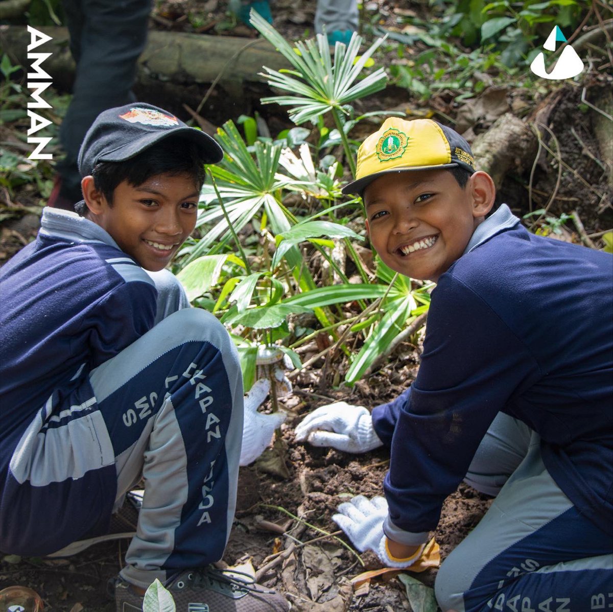 AmmanMineral's tweet photo. AMMAN bersama 60 siswa sekolah asal Desa Tongo, Kecamatan Sekongkang, Kabupaten Sumbawa Barat melakukan penanaman lebih dari 200 bibit tanaman Aren. 

Tanaman ini punya makna penting bagi masyarakat KSB, khususnya dalam menjaga lingkungan, juga manfaat ekonomi. 

#LegacyofBest https://t.co/XCJFA53wGd