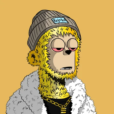Harveycrypto88's tweet photo. Ladies and Gentz! I present to you my Pimp Squad @Rejected_PIMPS  @Rejected_y00ts #RJCTD #RYC #PimpLIfe 

The Pimp Life is not for everyone.... https://t.co/GbSDA9jJ4q