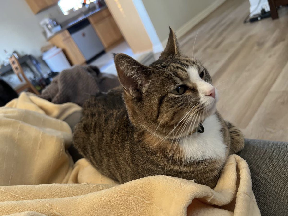 sri ponnada ⚡️ tweet media