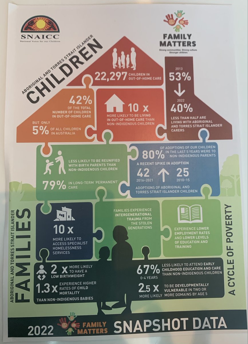 NAPCANCEO's tweet photo. Attending the launch of the Family Matters Report 2022 today - such critical work to inform much needed reform. The statistics are startling and the message is clear: Australia, we need to do more... much, much more. @SNAICC @LindaBurneyMP @CatherineLiddl4 https://t.co/BtltkMit0L