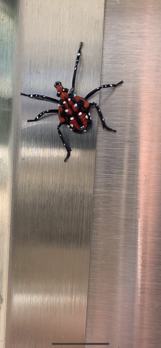 Peter J. Tomasi tweet media