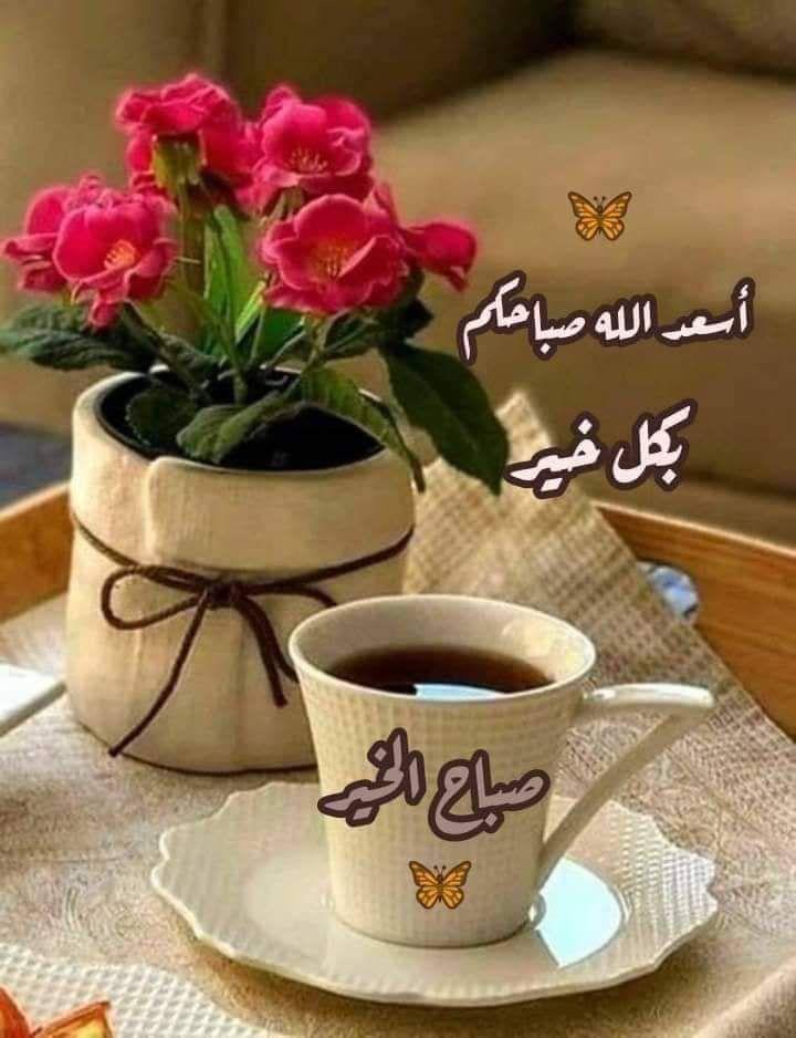 شبكة الزبير الرسمية tweet media