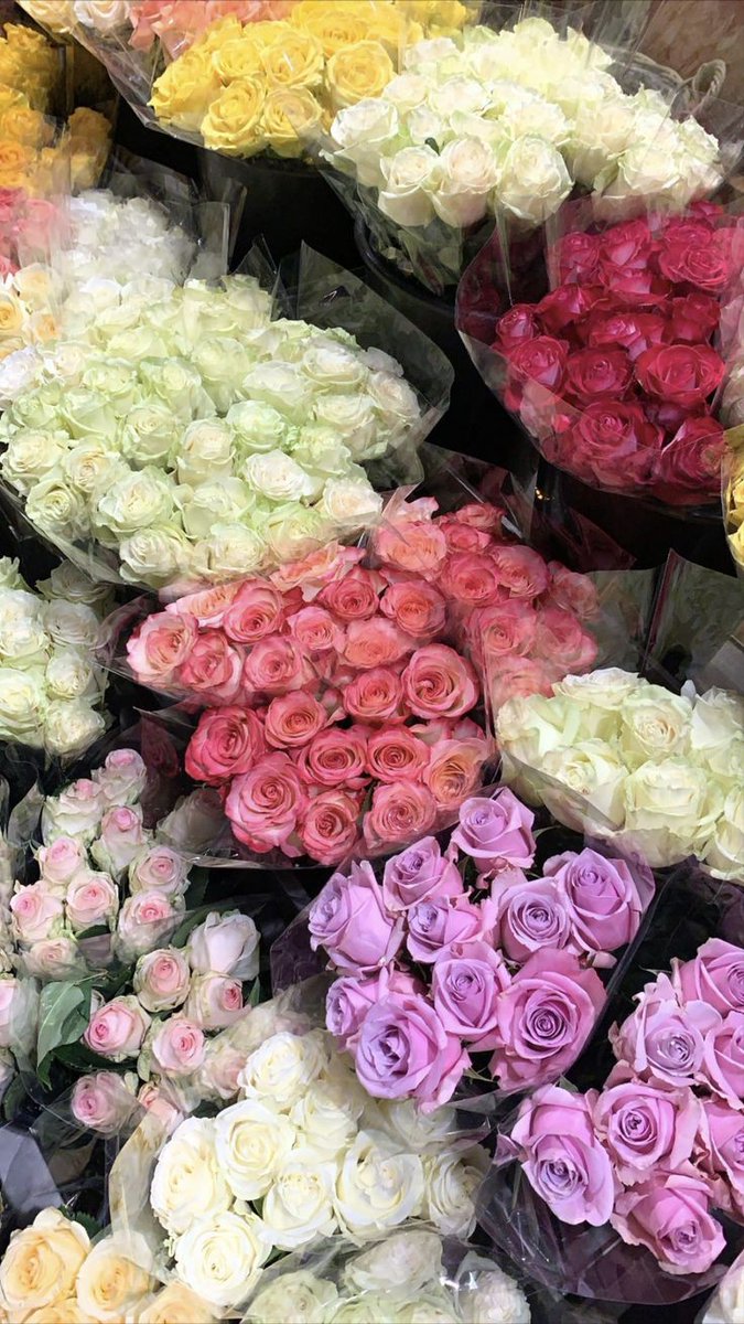 -เธรด𖧷 tweet media