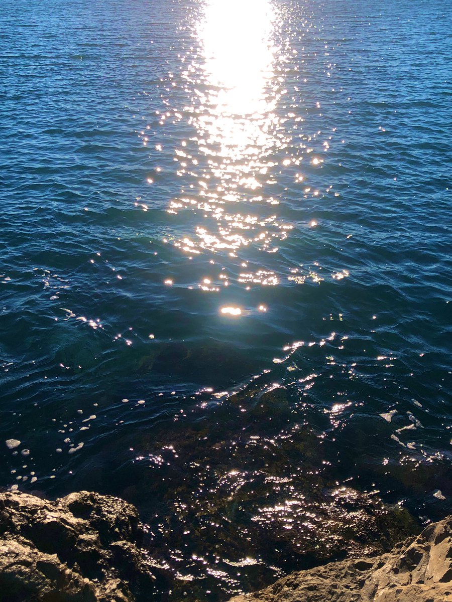 zeLaure_'s tweet photo. #NewMoon 23h58 GMT
Vibrez votre essence avec #luminosite et #authenticite 💦Eau’Thenticité
📷💫💫💫🫶🫶🫶✨
#univers #gaia #nature #ocean #intuition #meditation #consciousness #creation #cocreation #gratitude #pardon #peace 🌈🌸🦋#love 🧡💛💚 https://t.co/2gtthjy4TL