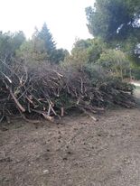 ΚΑΤΩ ΤΑ ΧΕΡΙΑ ΑΠΟ ΤΟ ΔΑΣΟΣ ΣΥΓΓΡΟΥ . 
ΔΕΝ ΕΙΝΑΙ ΟΙΚΟΠΕΔΟ ΚΑΙ ΠΕΡΙΟΥΣΙΑ ΚΑΜΙΑΣ ΚΥΒΕΡΝΗΣΗΣ  
Το Σάββατο στις 12.00 συγκέντρωση διαμαρτυρίας για την καταστροφή του δάσους Συγγρού. Ραντεβού στον πύργο του Δάσους.