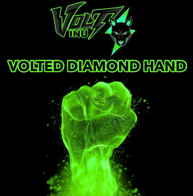 A run can't be stopped before it starts 💎⚡️

#VOLT $VOLT #VOLTINU #VOLTARMY