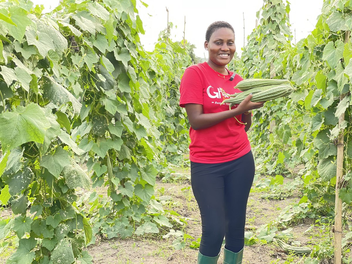 Vegetables are medicine that doesn’t need a prescription and has no limit on dosage.