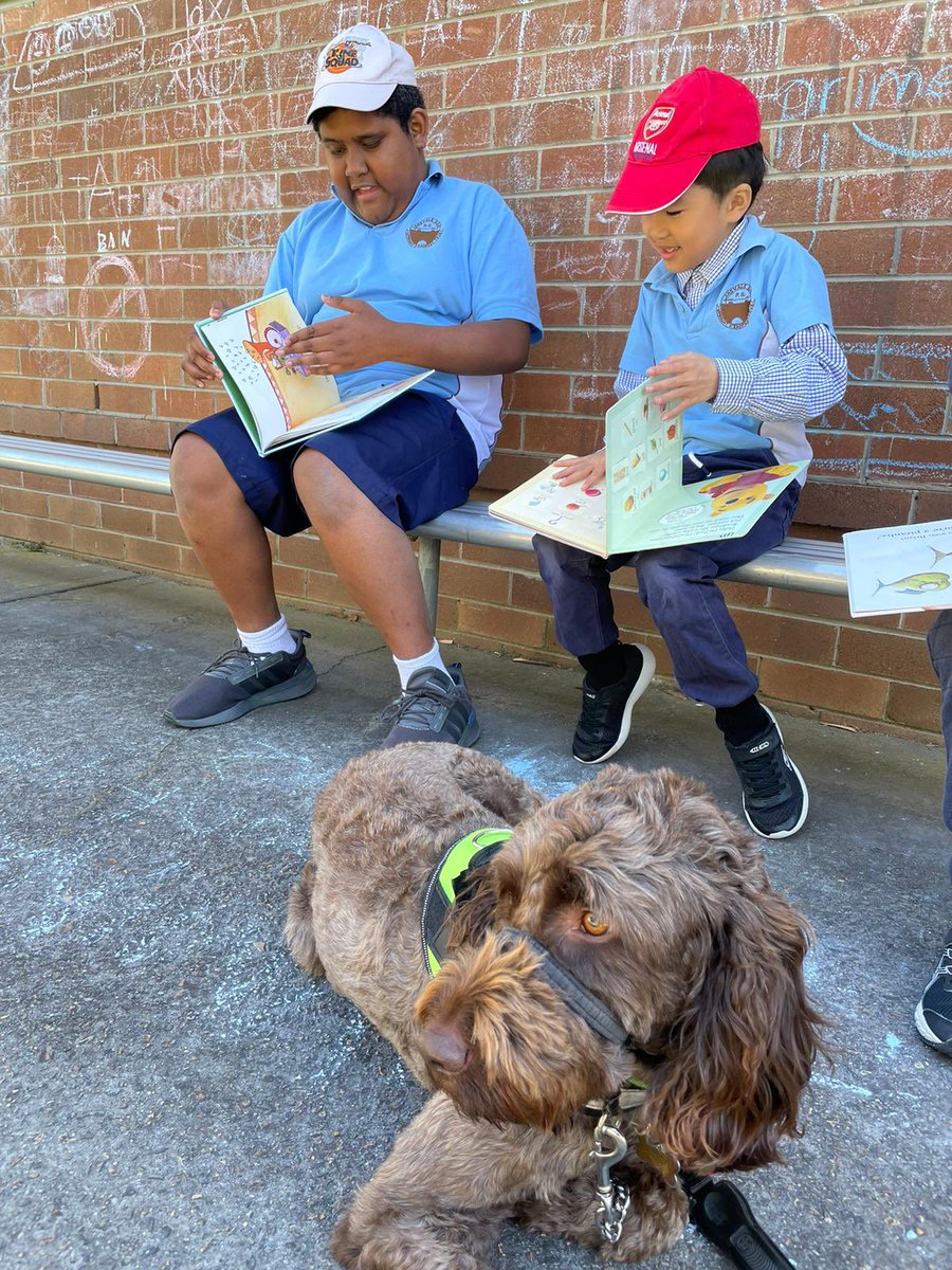 Quality time with our Well-being School Support Dogs <a href="/LansvaleEast/">Lansvale East Public School</a> makes our day super happy. <a href="/NSWEducation/">NSW Dept of Education</a> #LoveWhereYouLearn #dogsofdoe
