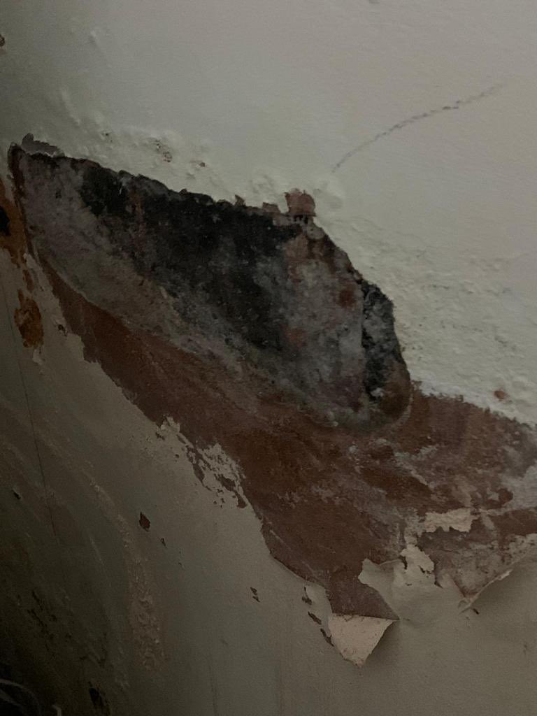 softpetals's tweet photo. Mirror mirror on the wall when will BCBC fix my home?? Perhaps some Disney fairy tale can tell me as Bridgend council can’t. @MarkDrakeford @HuwJDavidCC @rupert41 @SeneddWales #claddingscandal #EWIcladding #mould #damp #fixourhomes #Arbed https://t.co/OumTVpTuf5