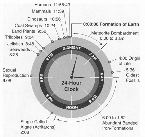 Si l'histoire de la Terre etait résumée en 24h, l'extinction des dinosaures aurait lieu à 23h41 et l'humanité apparaitrait à 23h58. l'intégralité de notre histoire serait contenue dans les 3 dernières secondes.