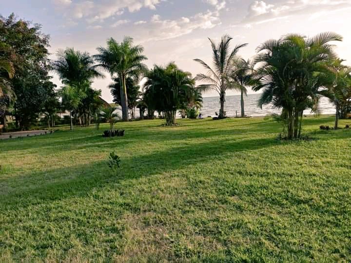 MuiraTours's tweet photo. Bujumbura's Lake Tanganyika beaches are some of the best urban beaches,to start your sightseeing in 🇧🇮. This stretch of coastline is free to enter.
#visitburundi #kabezibeach #ToursToGo #muiratoursandservices https://t.co/sNEeTnyVGd