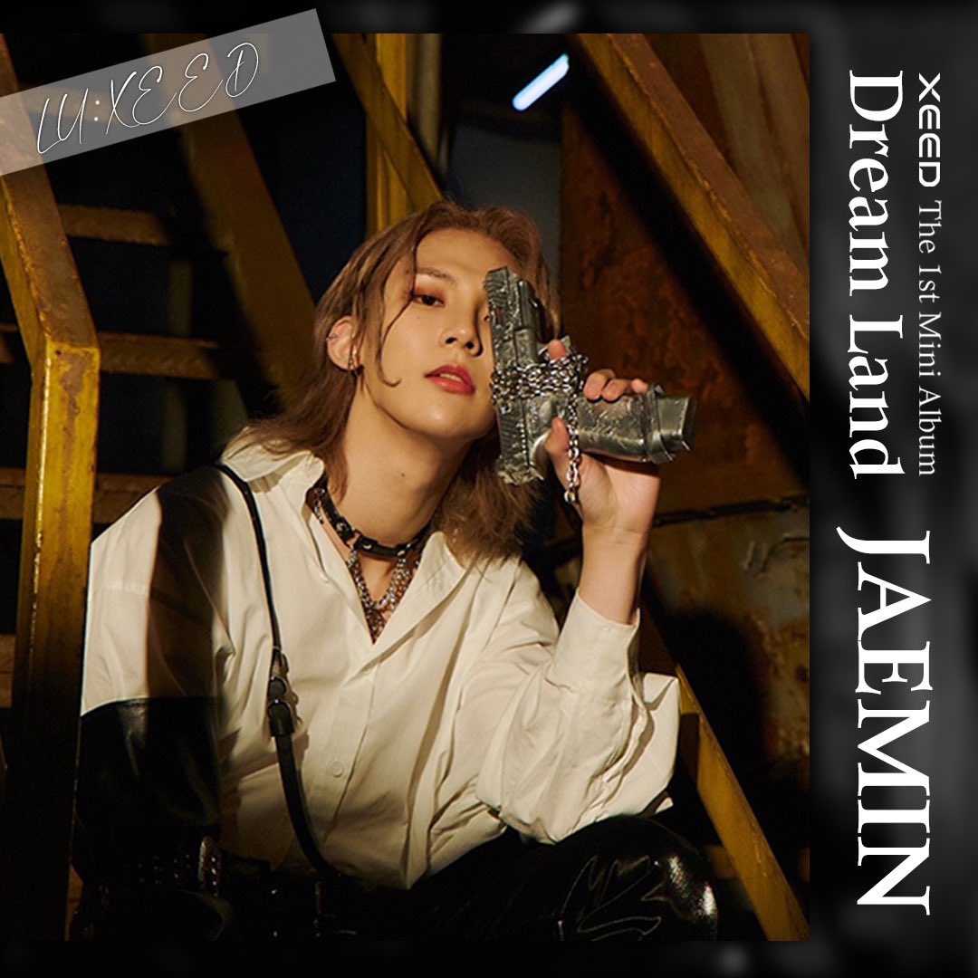 XEED Members Profile (Updated!)