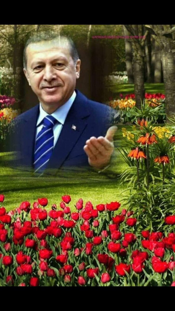 @AydinSaliha16 @AslanDzgn @bedrin_aslani25 @HalilKarakulak7 @Midyatli2747 @acenturies2023 @Salihasultanim @umud39877186 @agt_gunes @GokhnKahramanRt @mdyrd46 @umaydemir544 @vatan_sevdasi42 @atillay53 Kazım ağbini takip 👈etmiyormuş sun öyle mi ☝️