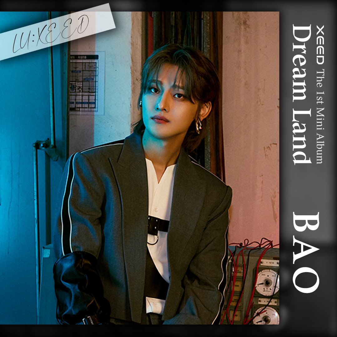 XEED Members Profile (Updated!)