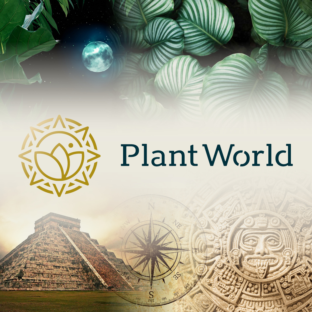 Tijdens de TradeFair werd de #identity van PlantWorld officieel gelanceerd. Maar liefst 4 grote sierteeltbedrijven bundelden hun krachten en zijn voortaan te bewonderen in de nieuwe clubkleuren. Een #huisstijl om ontdekt te worden!  🌴 👀

#plantworld #nieuwehuisstijl #Speax