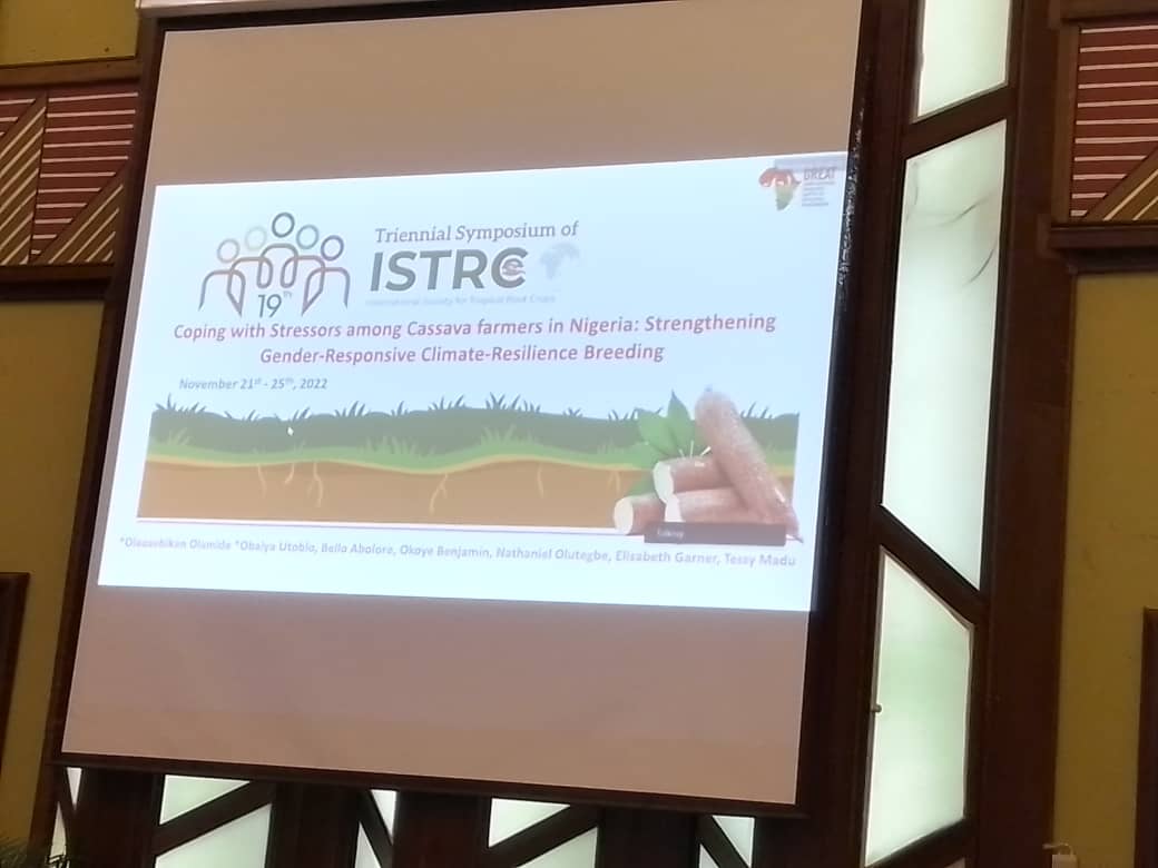 At the Triennial symposium of ISTRC,2022, sharing research findings on coping strategies among men and women cassava farmers in relation to climate change and conflict stressors: strengthening gender responsive breeding for resilience. #ISTRC2022 ,<a href="/wacci_gh/">WACCI</a>, <a href="/GREATAgResearch/">GREAT Agriculture</a>