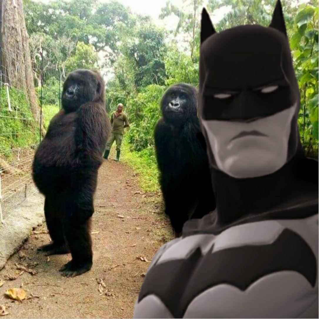 mikeluck616's tweet photo. @Parafinas1 Selfie Time Guys!!!!

#veve #vevefam #Batman 
#NFT #NFTCommmunity https://t.co/ofU0iGVhMM