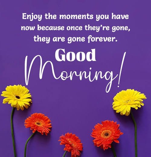 Every morning is a new blessing, a second chance that life gives you because you’re so worth it. Have a great day ahead. Good morning!🌼🌻🌷 Happy Wednesday!

<a href="/KissesDelavin/">Kisses Delavin</a>
#KissesDelavin