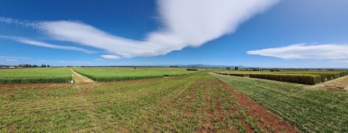 far_australia's tweet photo. We're looking forward to sharing some Hyper Yielding Crops with you tomorrow at our Tasmania HYC field day. 10am start. For more, visit https://t.co/oPwxwjM42u https://t.co/Imx2USXsLe