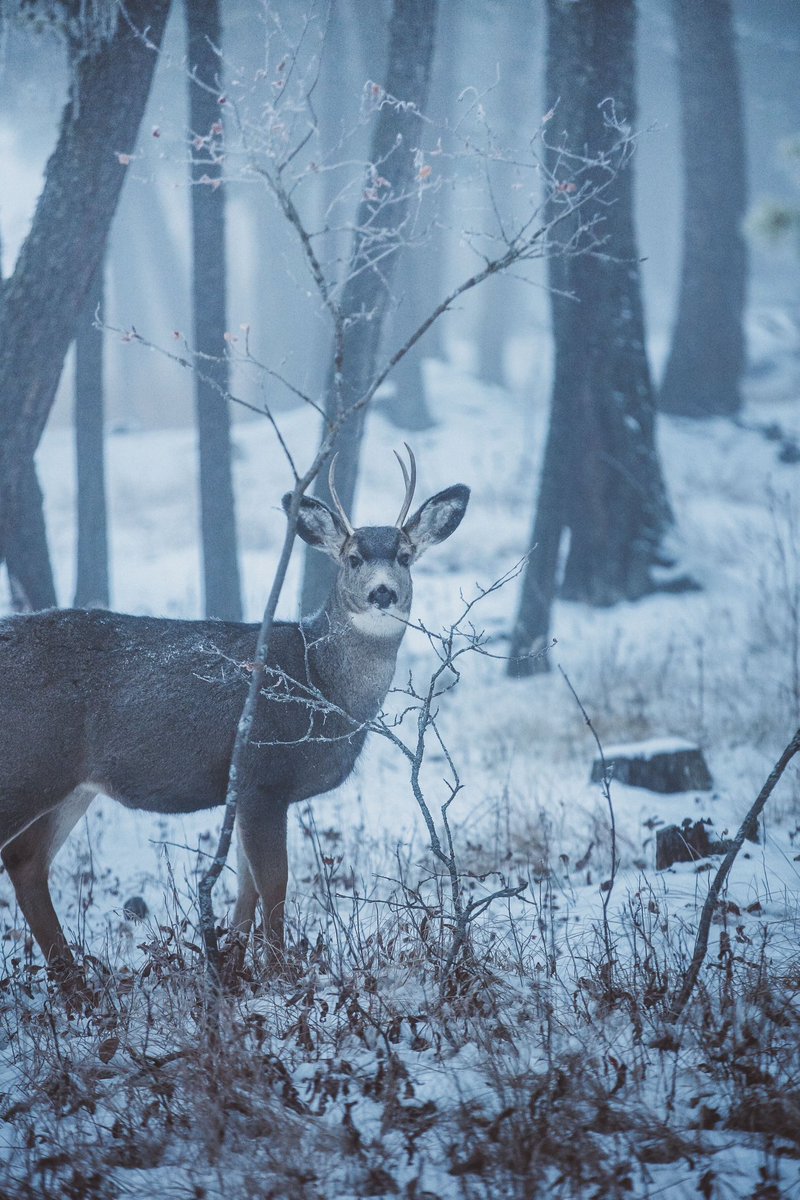 Hello I’d like to speak to you about yours cars extended warranty