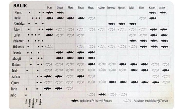 ~ Balıkların en lezzetli olduğu ve yenebilecek zaman çizelgesi 🐟⚓️