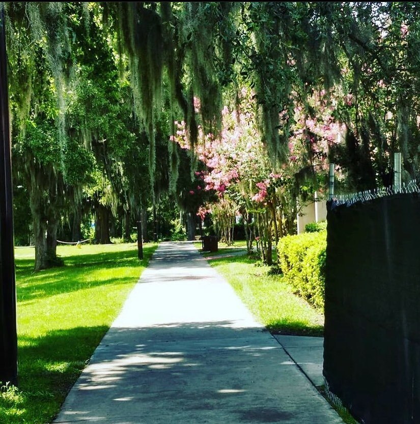 Sometimes I miss working around such beauty, who can guess where this is?
#beauty #southern #nothinglikeit instagr.am/p/ClSf_mzOVQs/