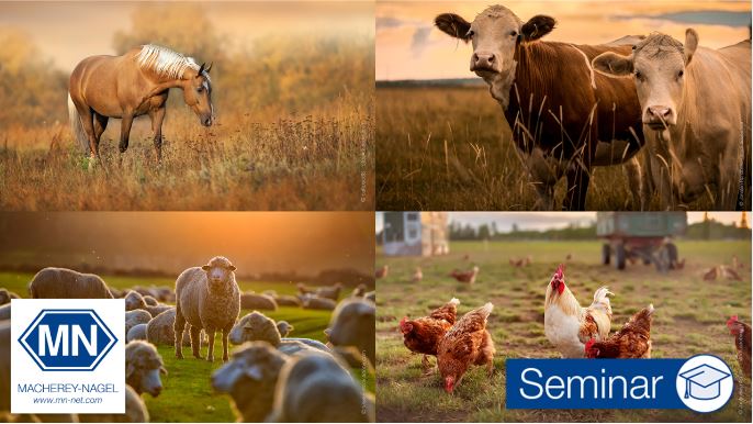MedirayNZL's tweet image. Safe sampling for molecular veterinary diagnostics with NucleoProtect® VET - Seminar link below
register.gotowebinar.com/register/67490…

@MNSwitzerland #animalhealth #veterinaryscience