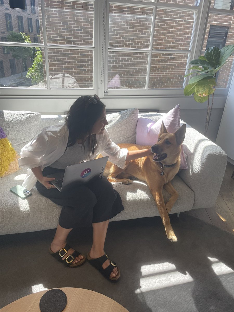 cassidybatiste's tweet photo. Couch Wednesdays with @StefSafahi and Loki https://t.co/j1bfNS9J31