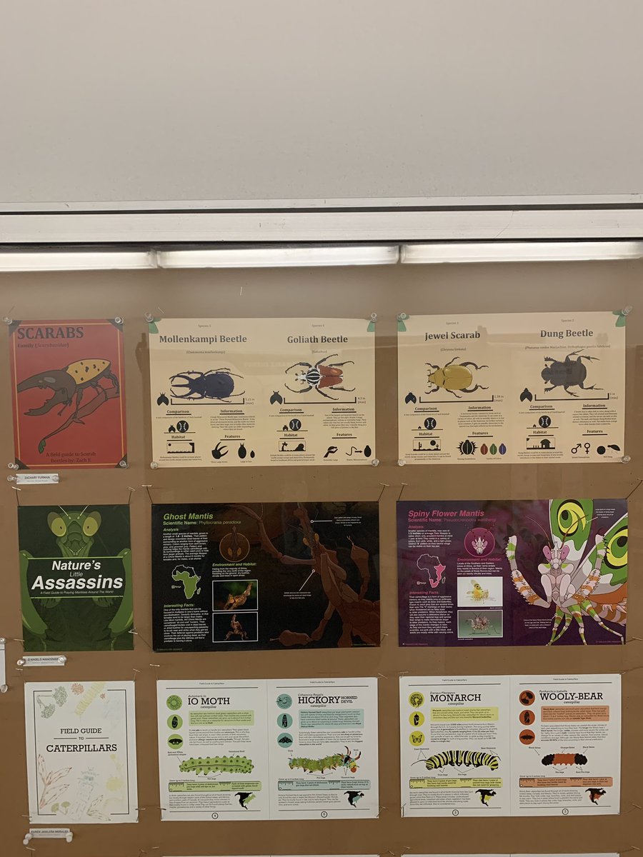 MikeRDzign's tweet photo. So glad to have had this experience to walk the halls again at @NAU School of Communications, and proud to see some of my student’s design work hanging on display. Top left scarabs, and bottom right oranges. #adjunct #graphicdesign https://t.co/wkJYHe1wzk