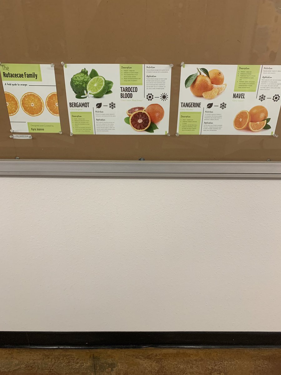 MikeRDzign's tweet photo. So glad to have had this experience to walk the halls again at @NAU School of Communications, and proud to see some of my student’s design work hanging on display. Top left scarabs, and bottom right oranges. #adjunct #graphicdesign https://t.co/wkJYHe1wzk
