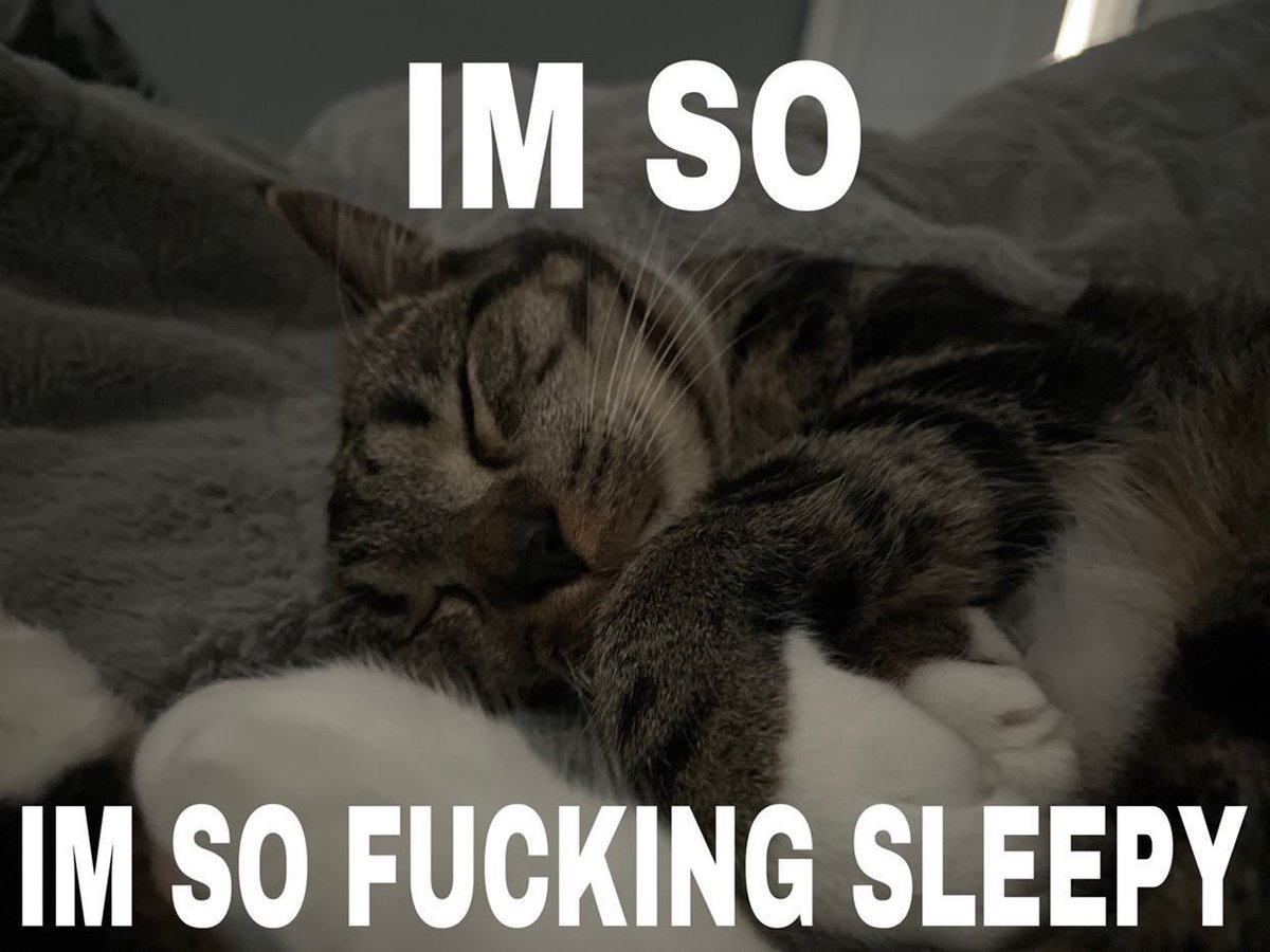 SashatheCat69's tweet photo. @Tableddd @KaitlynIsBad https://t.co/i21s28aGRx