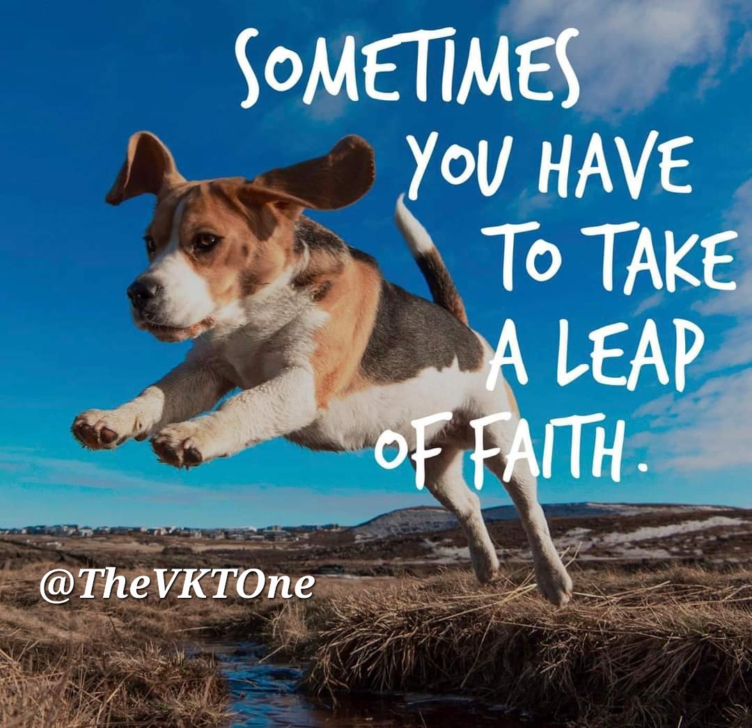 TheVKTOne's tweet photo. #inspiration #inspirational #WednesdayMorningLive #TheVKTQuotes #Bestquotes #GreatQuotes #Focus #Goals #Motivation #Motivational #MotivationalThoughts #WednesdayThoughts #WednesdayMotivation #Wednesday #positivevibes #WednesdayMotivation
#WednesdayWisdom #WednesdayMood #TheVKTOne https://t.co/EVSmueRbZ4