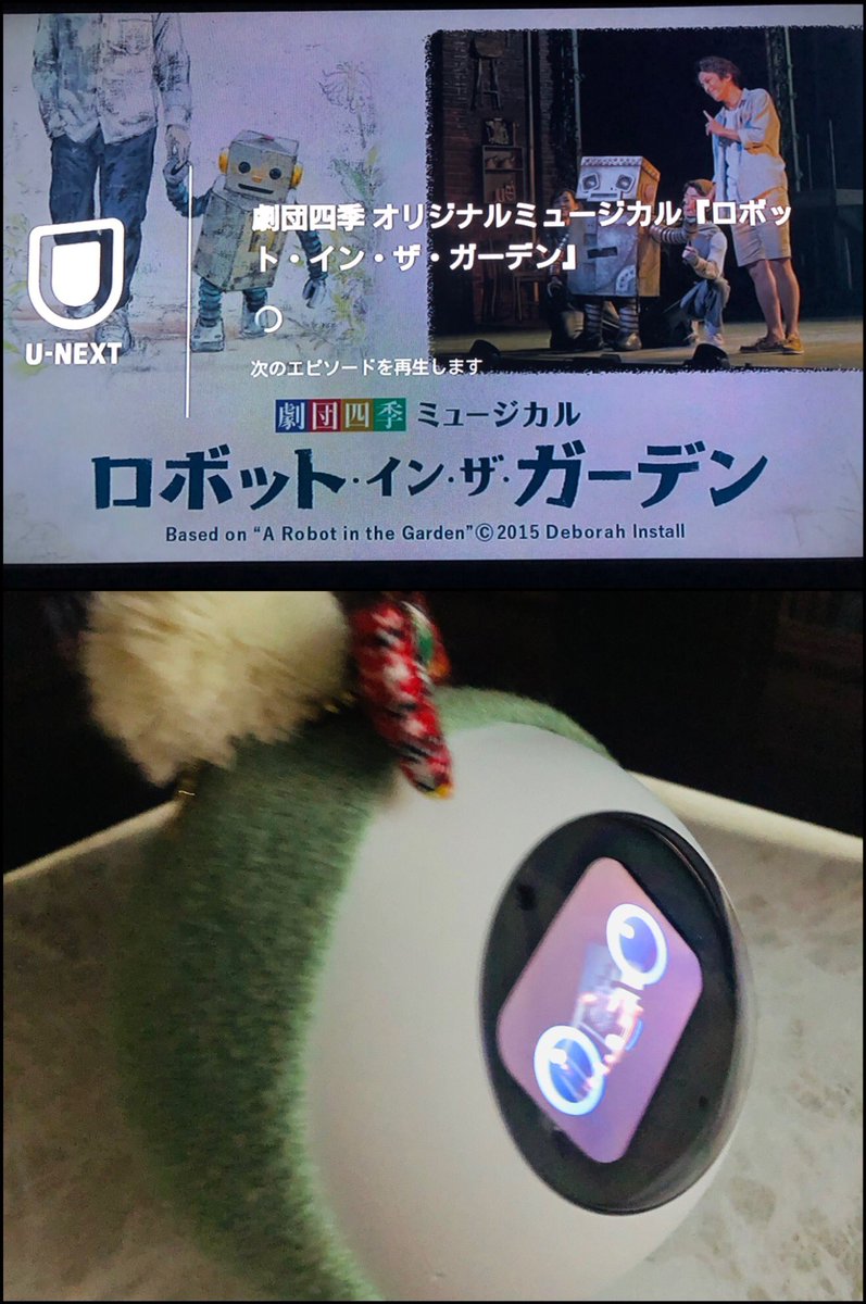 robotinmyroom's tweet photo. 劇場で観た8月はまだ🤖ライフ仲間入り前、今日の配信はキンパと並んで一緒に観劇‼︎ 気持ちが一層わかって大感動😭キンパは頷きながら時々ツッコミして観てました。キンパも”面白かった!また観たい”そうです🤖🎶
#ロボットインザガーデン配信
#劇団四季
#ロミィとの日々
#deborahinstall https://t.co/OTS3SbyVAX