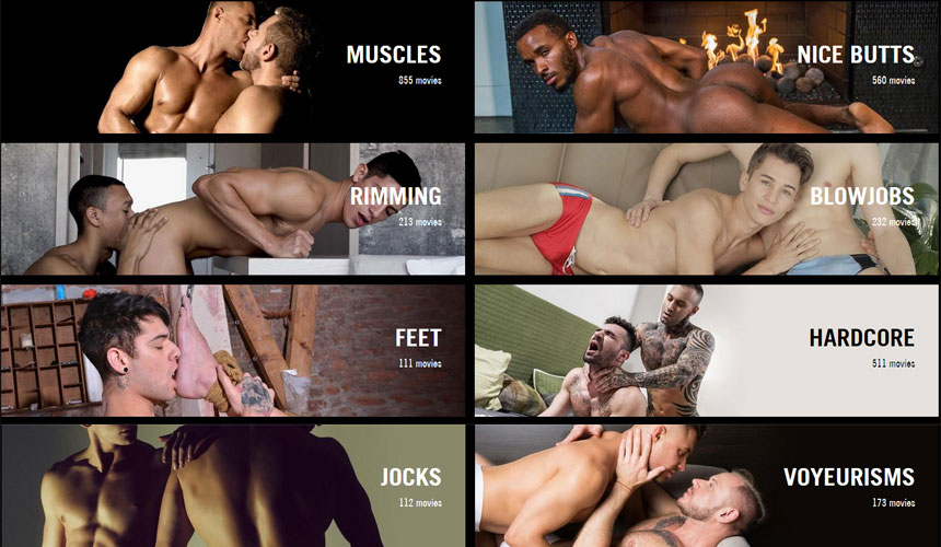queerfever's tweet photo. 📢 Limited time offer! 

Get 70% off #Xillimité ❤️ Many gay porn brands in 1 streaming membership

➡️ https://t.co/JgmxA0Fma0 https://t.co/JdboysDDrG