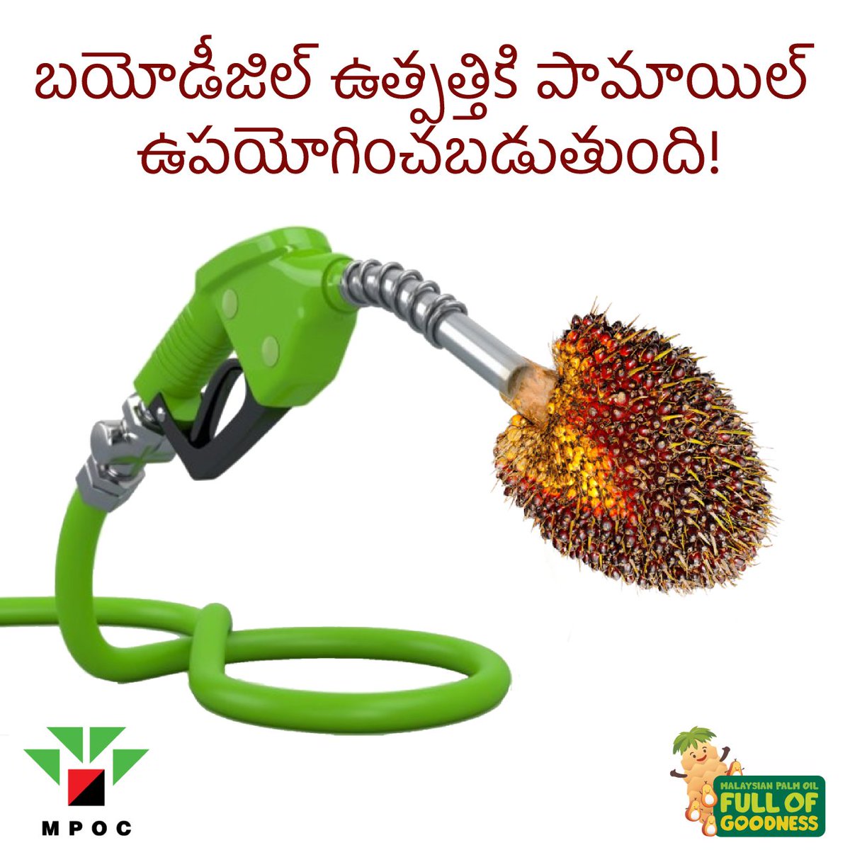 thinkpalmoil's tweet photo. #MPOC #Telugu #Andhra #Telangana #MPOCIndia https://t.co/zhXjRhTvKG