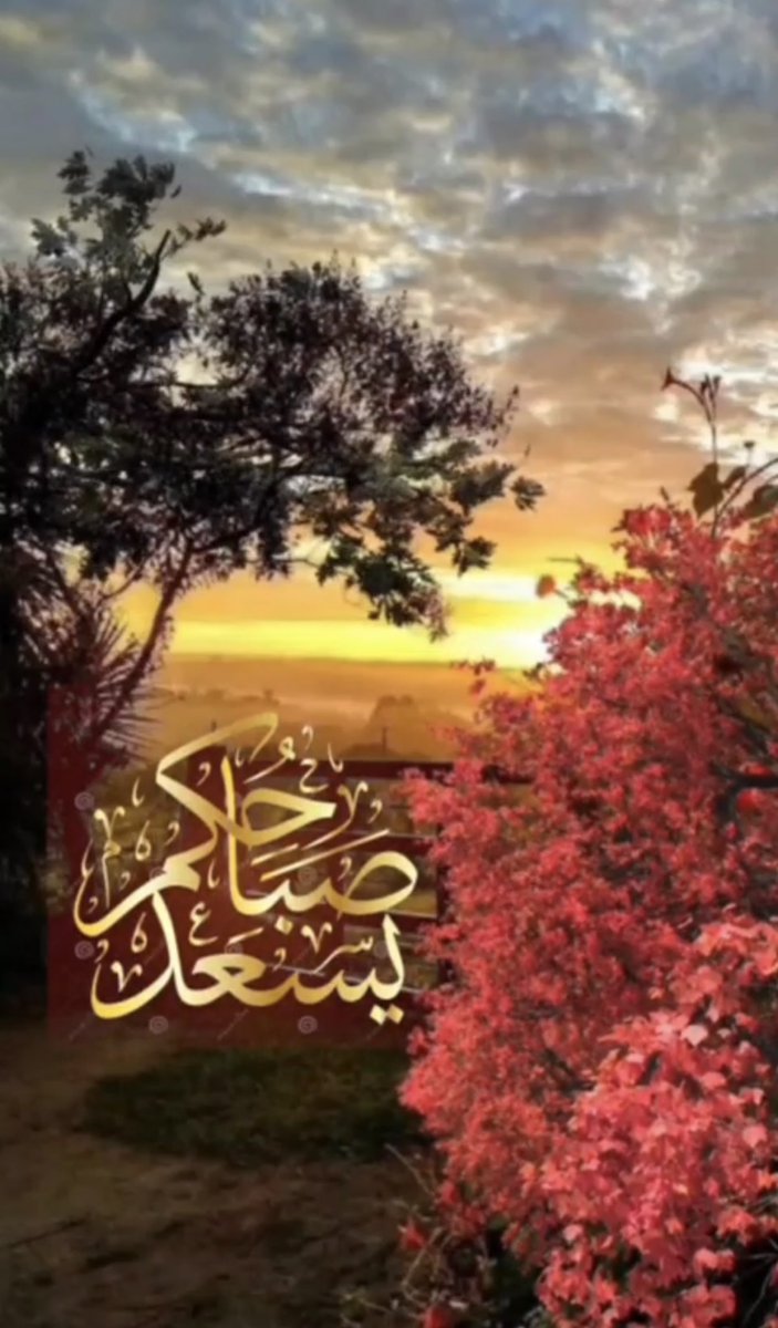 ‏شٻـخـهہَ🦋 tweet media