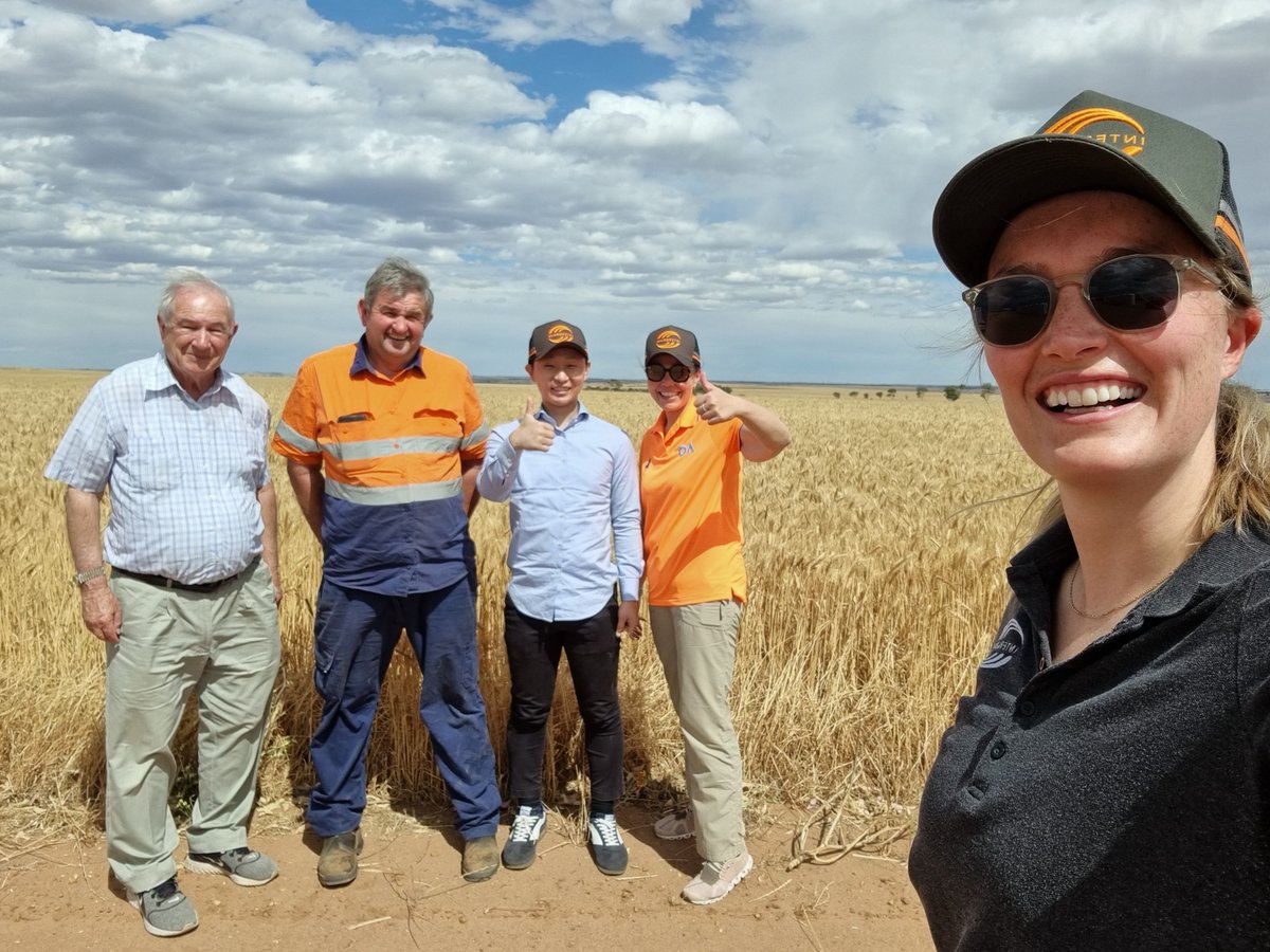 InterGrain1's tweet photo. Northern WA Territory Manager @agchatrach accompanied @AEGIC's @larisacato, WA noodle wheat pioneer Graham Crosbie &amp; Japanese Nippn Flour Mills' Yudai Sonoda on a trip to Wimmera Farms @ Dalwallinu yesterday - A great opportunity to showcase WA's udon industry in a fantastic year https://t.co/AYLoic01A6