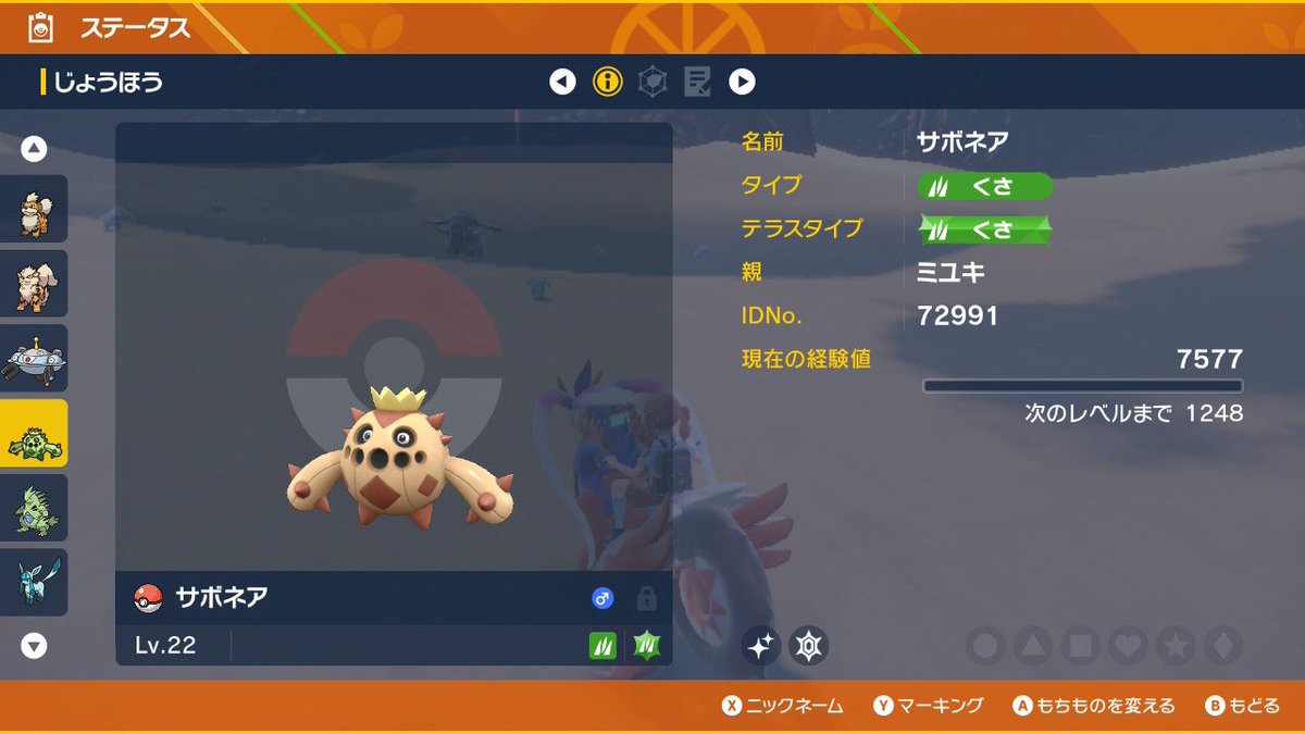 ノクタス色違いエラー Clinicacampinas Com Br