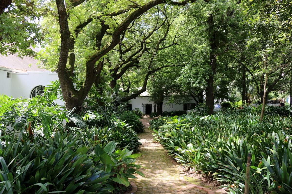 winetourismza's tweet photo. The Gardens and outside dining area at #MuratieWineEstate is so lush and green at the moment. Pay them a visit soon!
Read more: https://t.co/cSLpzwkWOw
🌳🌿🍀
#Muratie #StellenboschGardens #VisitStellenbosch #HermanExplore #WineryExploring #GardenLover #GardenLife https://t.co/WNkqotH9oO