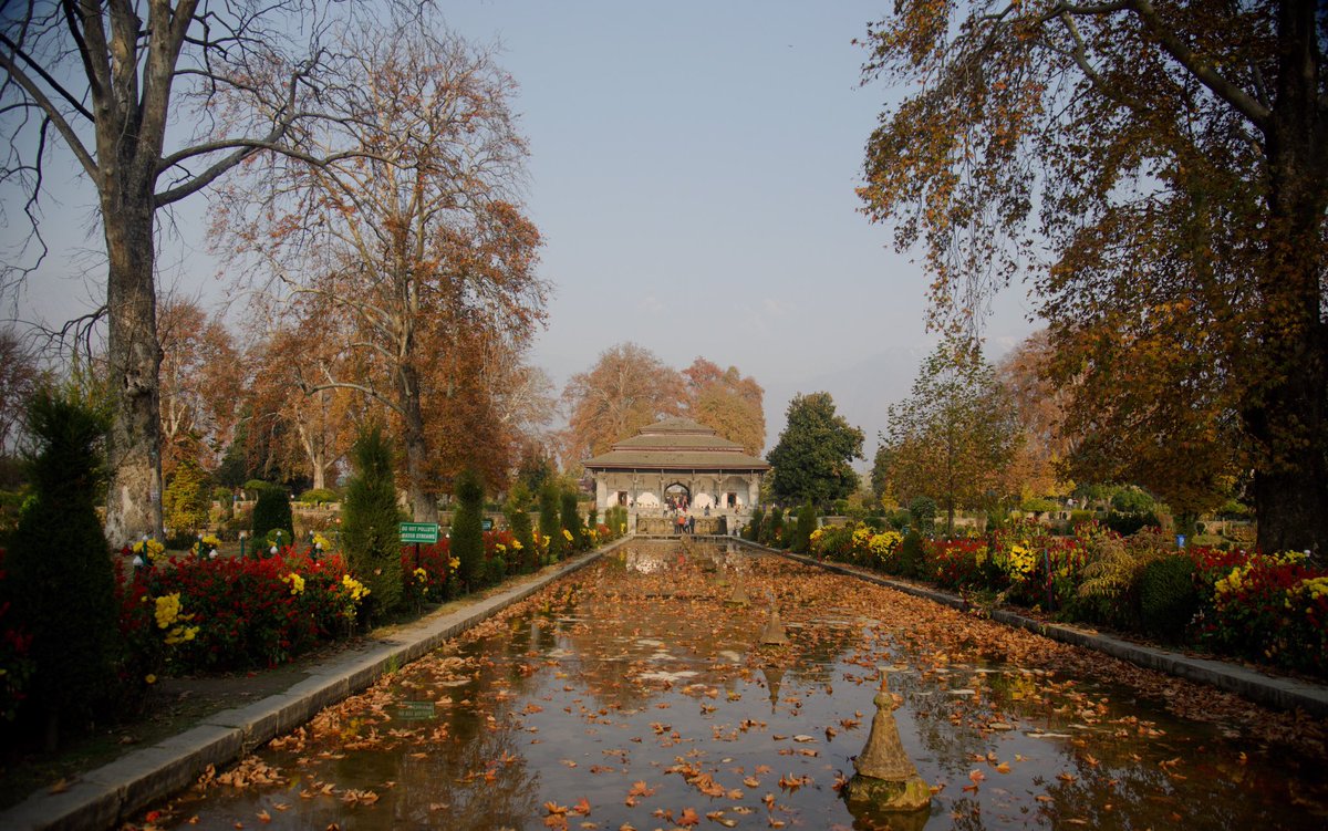 Shalimar Bagh, Srinagar, Kashmir. Photo/ @khalidHkhan_ #autumn #srinagar #kashmir