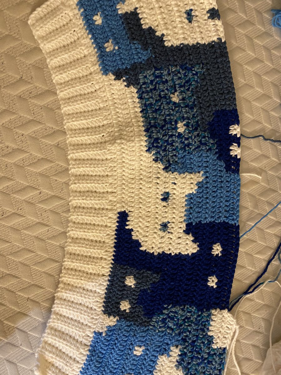 MadeByRye's tweet photo. Working on this cat sweater to wear at the animal hospital I work at! #crochet #crochettwt #yarn #fiberart #Crafty #Crochet_Sweater #handmade #Clothing #Aesthetic https://t.co/jXb0rpZwIP