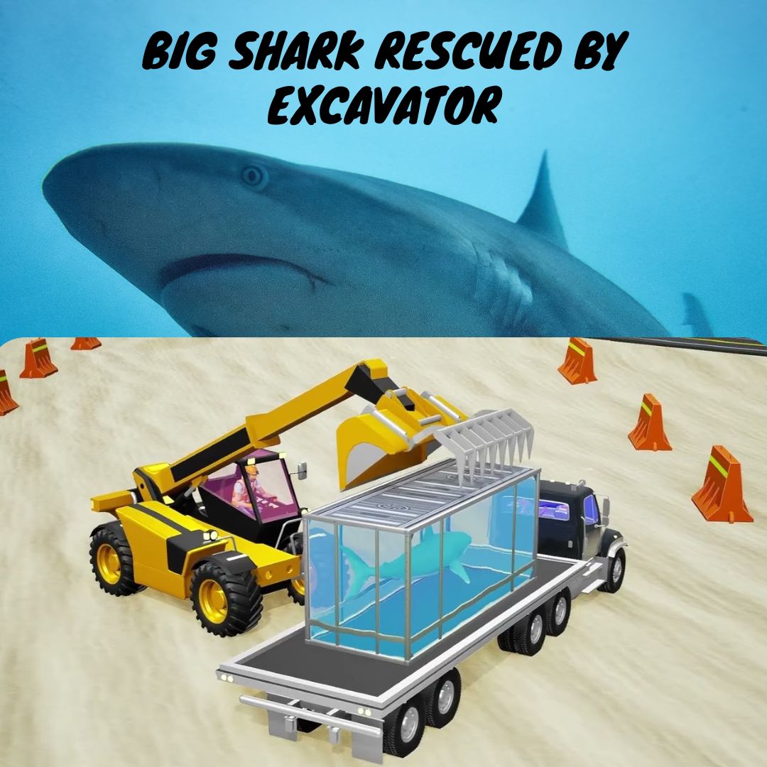 ToonVehicles's tweet photo. Big Shark Rescued by Excavator &amp; Dropped in Sea with Giant Ship | 3D Ani... https://t.co/xba2vrWkDC via @YouTube 
#Shark #Rescuing #trucksforkids #constructionvehiclesforkids #animationsforkids #funlearning #kidscartoons #kidsmoralstories #kidscomedyvideos https://t.co/EC55TKVz1T