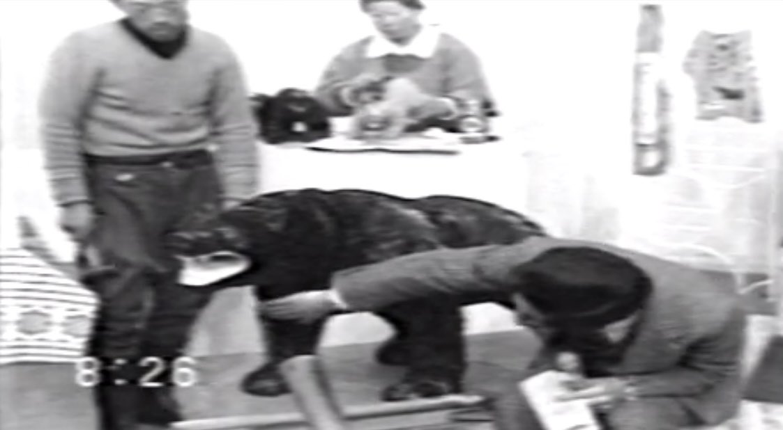 また会場では、1973年にIBC岩手放送「おはよういわて」内で放送された上高山兼太郎さんのインタビューもご覧になれます。この時は葛巻町から盛岡まで木彫り熊を軽トラで運んだそうですよ🐻
（協力:葛巻町教育委員会、IBC岩手放送）