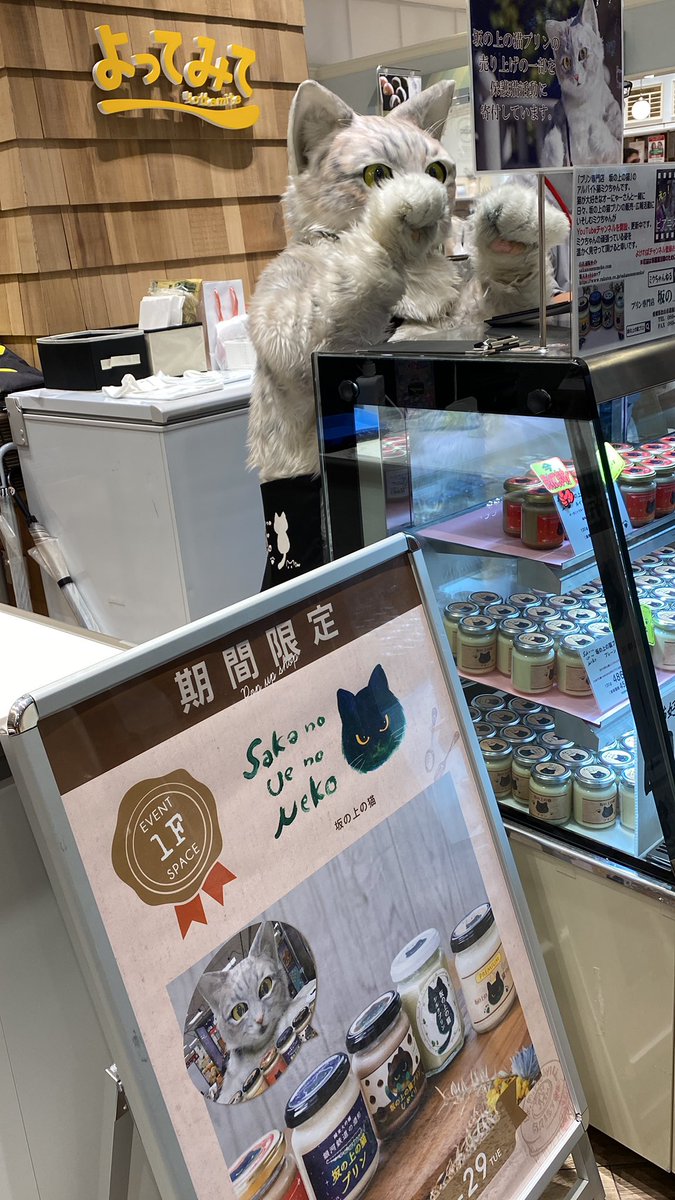 タグ 猫のレジ打ち の注目ツイート メガとんトラック