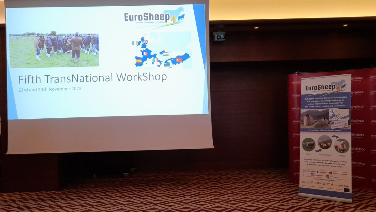 EuroSheepEU's tweet photo. Ready to start the #TNWS5 in Turkey @EuroSheepEU . More than 70 people from 8 countries expected! @SRUC @InstitutElevage @neiker_BRTA @TeagascSheep @EIPAGRI_SP #thematicnetwork https://t.co/YjlADJ3Xm0