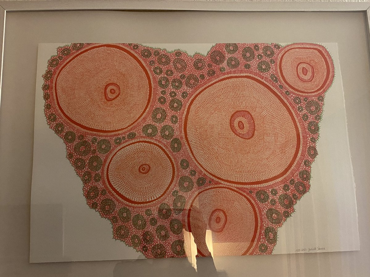 Am convinced the picture in my hotel room is a cross section of an ovary with primordial and Antral follicles. Or maybe I need to visit the opticians… #reprocks  🍳 🥚